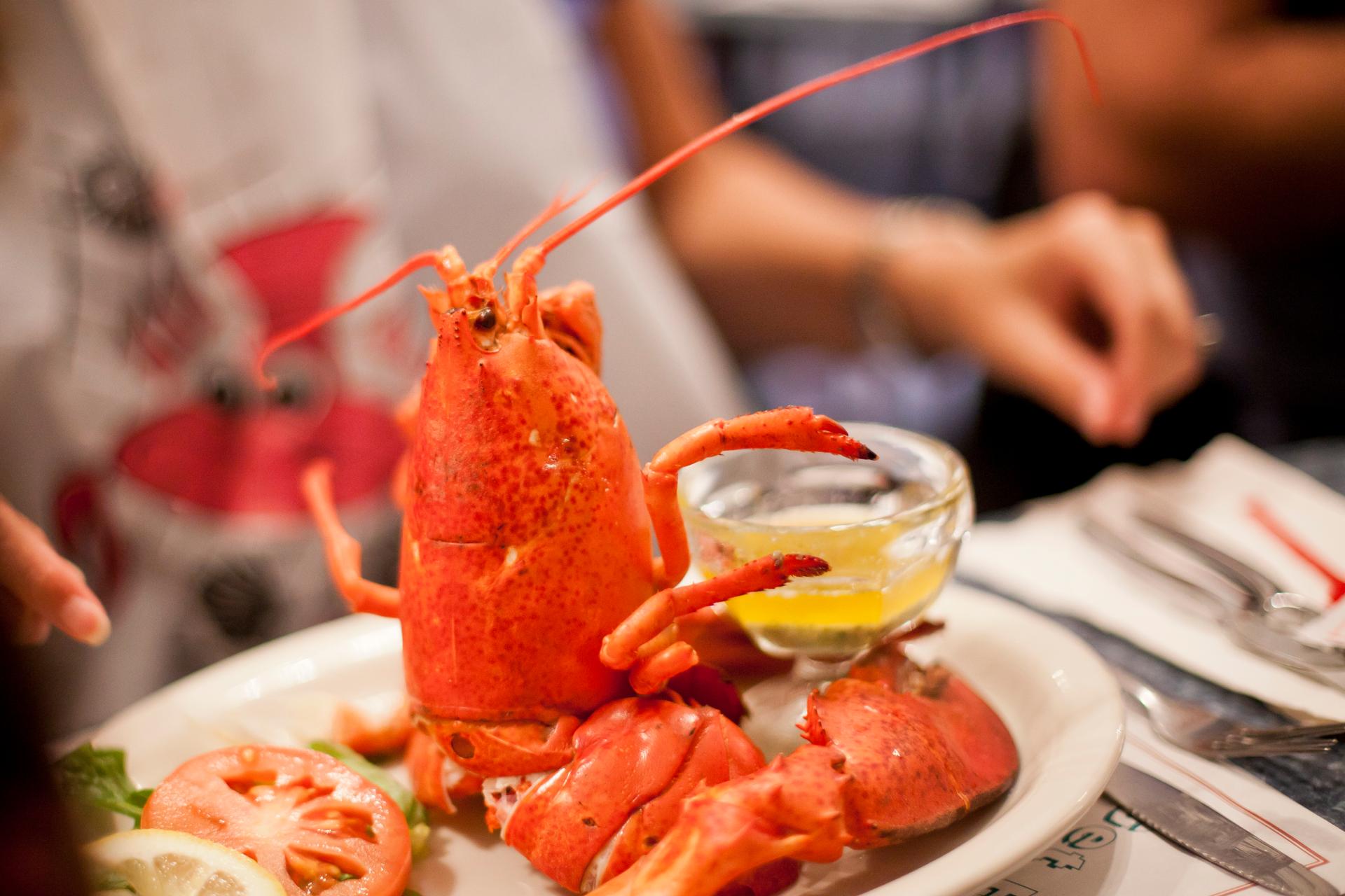 Atlantic lobster and seafood menu to remind you you’re in Newfoundland